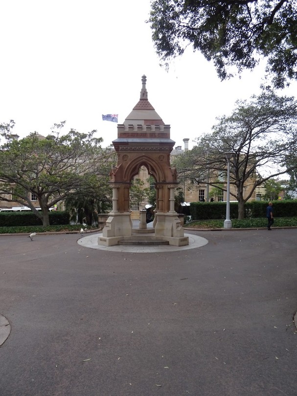 DSC01080