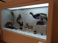 DSC01122