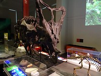 DSC01141
