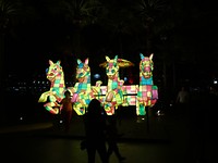 DSC01258