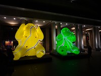 DSC01259