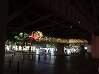 DSC01262
