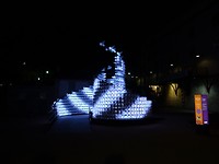 DSC01284
