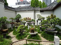 DSC01331