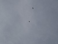 DSC01477