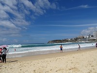 DSC01479