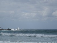 DSC01480