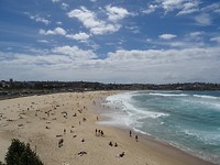 DSC01484