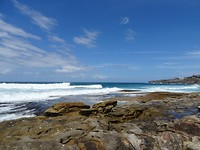 DSC01503