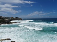 DSC01521
