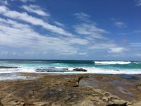 IMG_1416