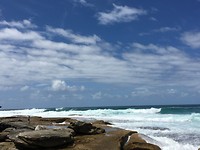 IMG_1429
