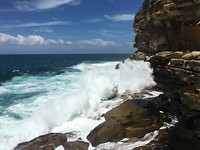 IMG_1450
