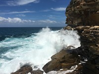 IMG_1451