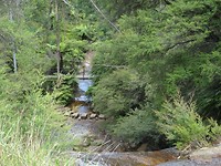 DSC01568