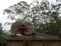 DSC01599