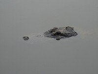 DSC01602