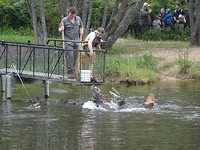 DSC01615