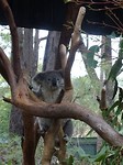 DSC01637
