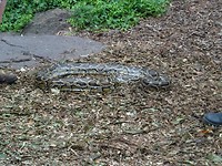 DSC01643