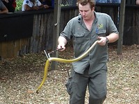 DSC01667