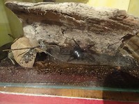 DSC01697