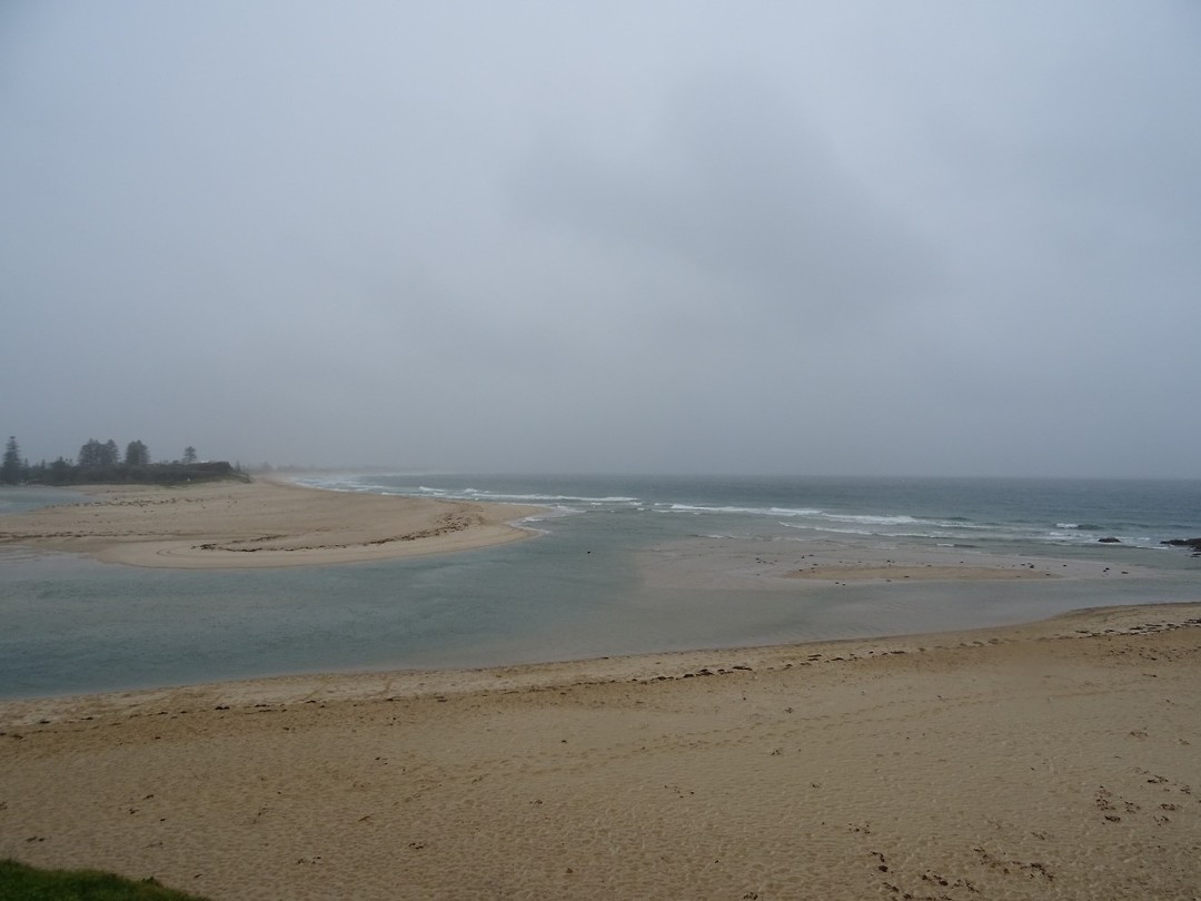 DSC01701
