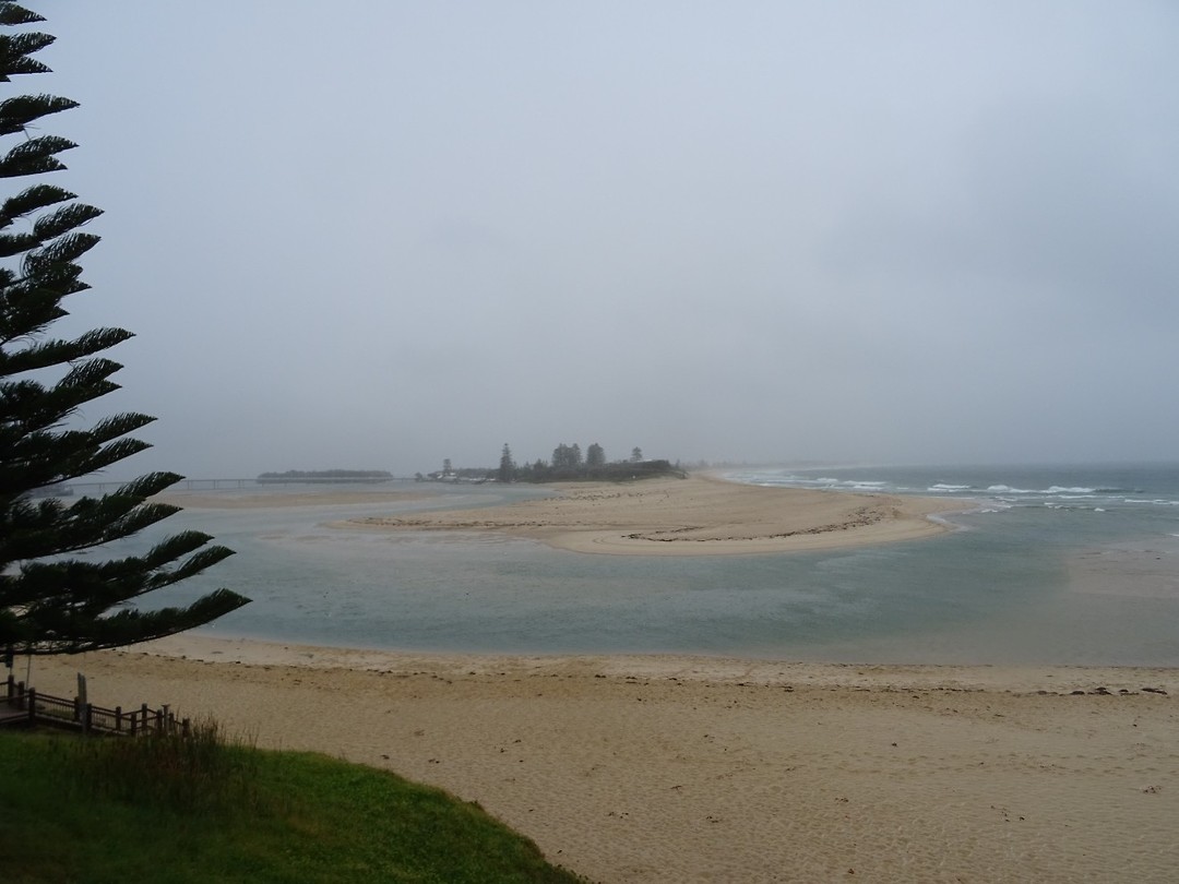 DSC01703
