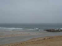 DSC01705