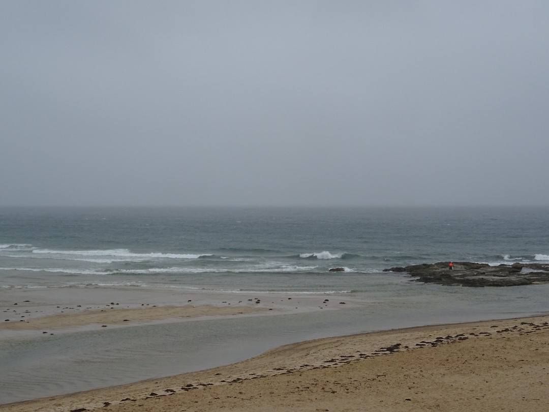 DSC01705