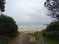 DSC01707