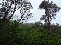 DSC01709
