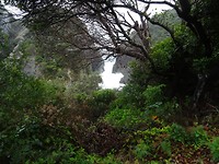 DSC01713