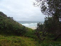 DSC01715