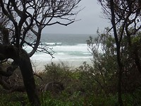 DSC01720