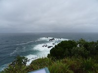 DSC01724