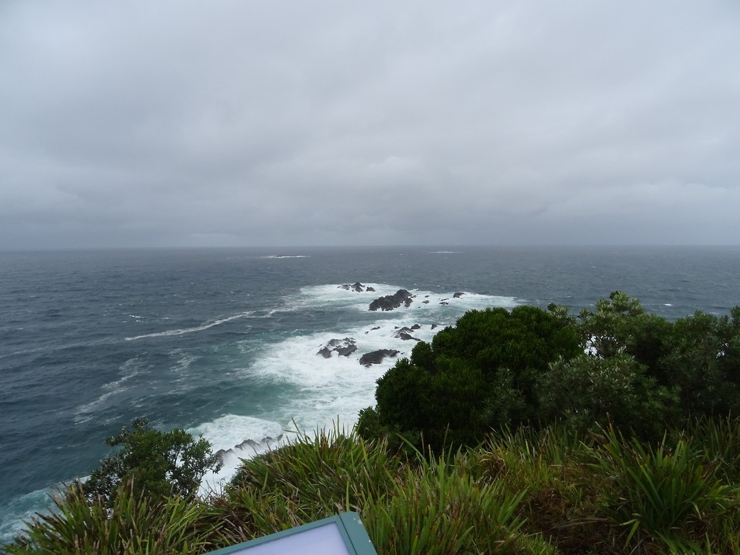 DSC01724