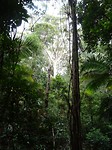 DSC01744