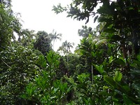 DSC01746