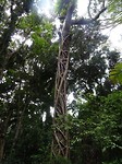 DSC01748