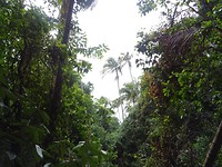 DSC01750