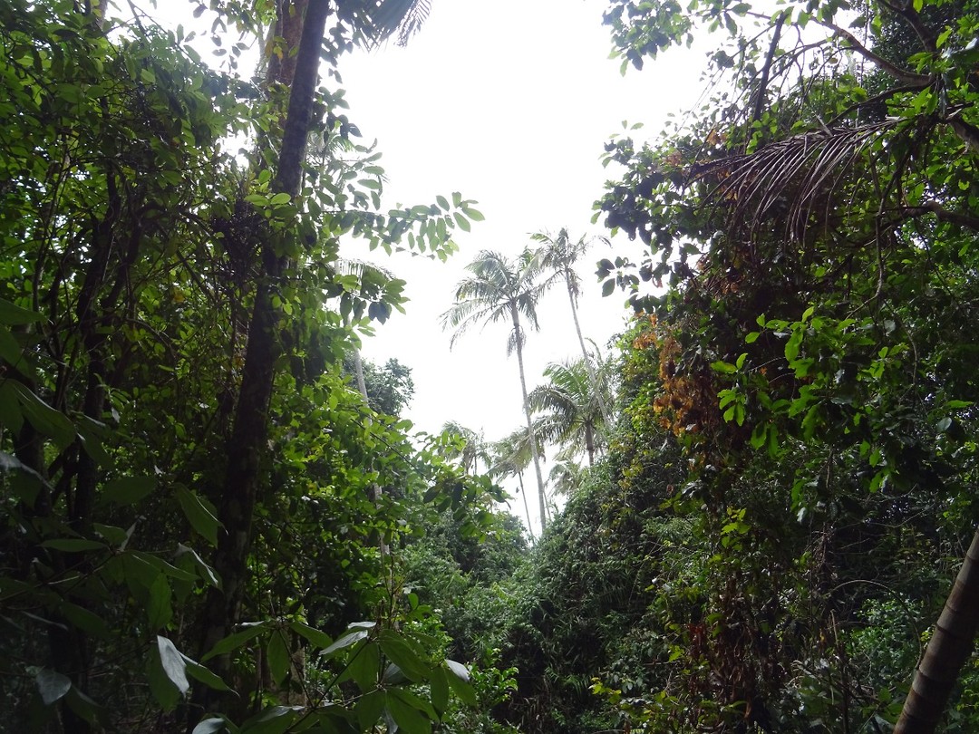 DSC01750