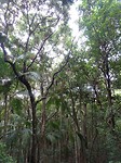 DSC01760