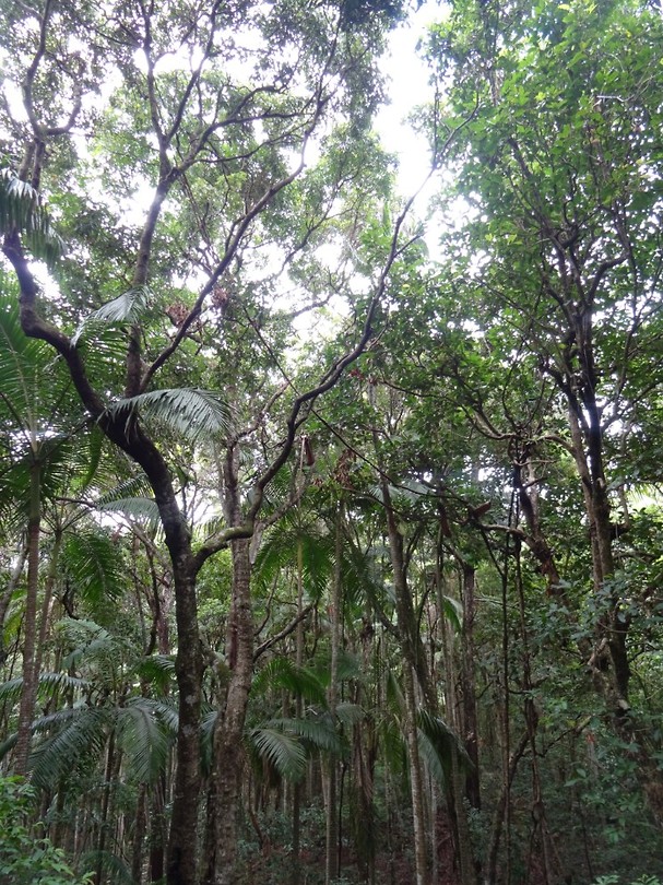 DSC01760