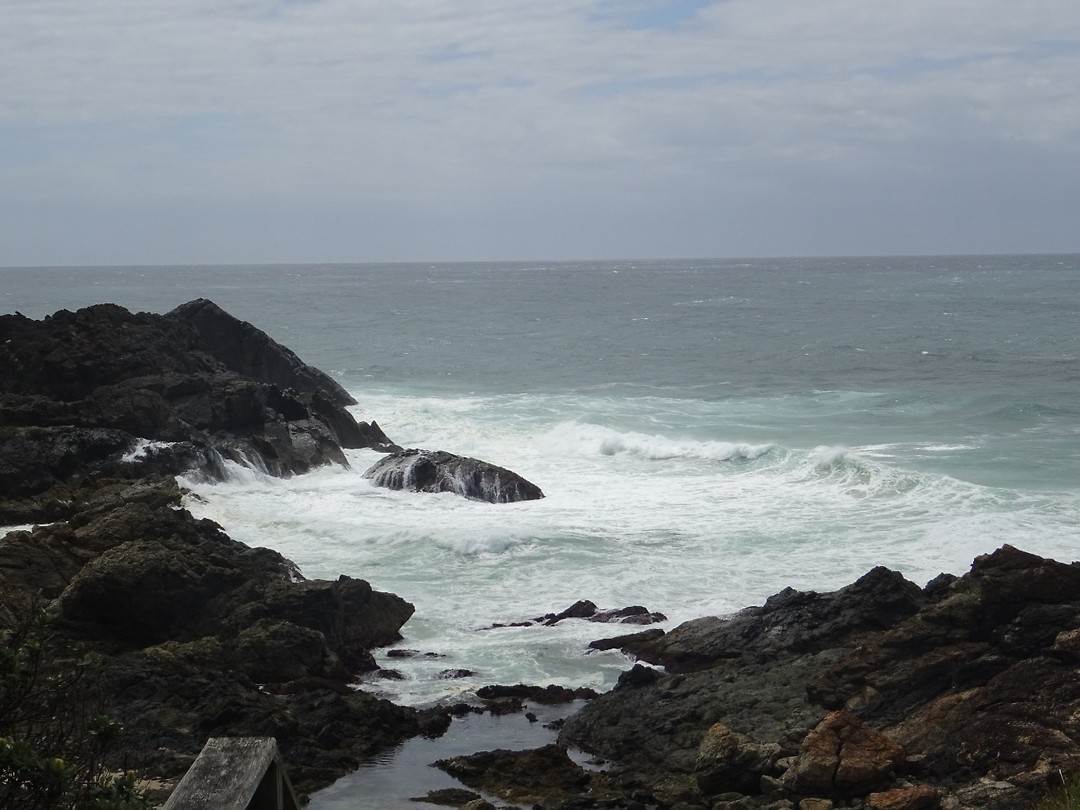 DSC01763