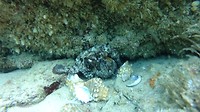 DSC04437 (1)