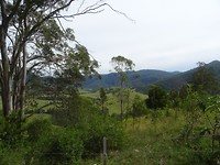 DSC01821