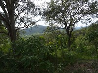DSC01825