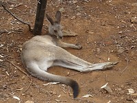 DSC01864