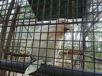 DSC01870
